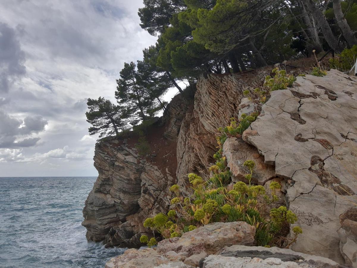 Sea-Side Old Stone Villa With A Private Garden Budva Exterior photo