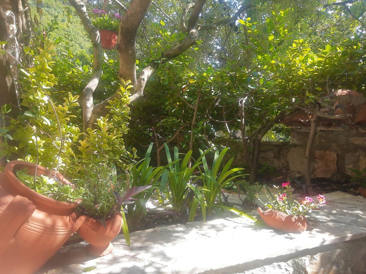 Sea-Side Old Stone Villa With A Private Garden Budva Exterior photo