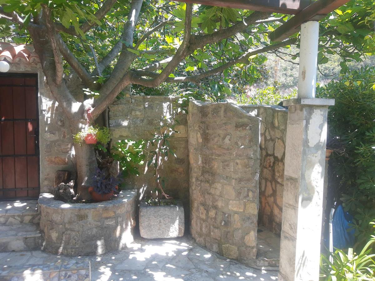 Sea-Side Old Stone Villa With A Private Garden Budva Exterior photo